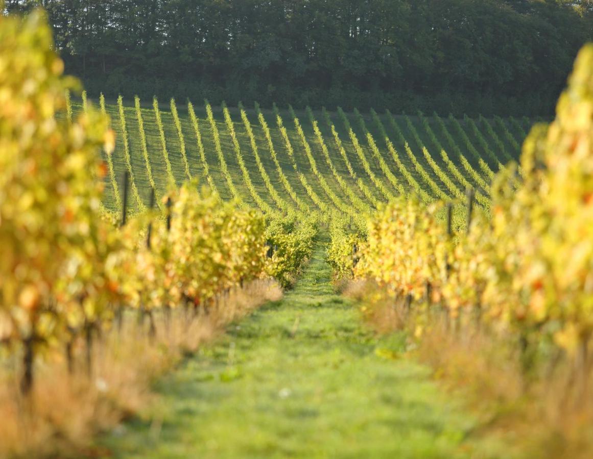 Denbies Vineyard Hotel Dorking Exterior photo