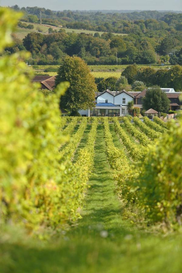 Denbies Vineyard Hotel Dorking Exterior photo