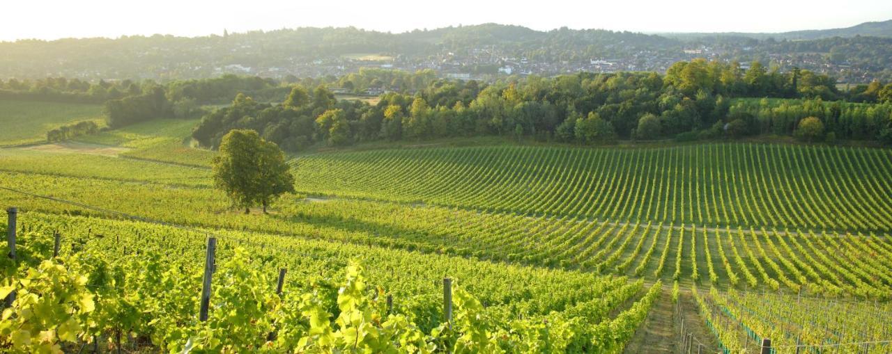 Denbies Vineyard Hotel Dorking Exterior photo